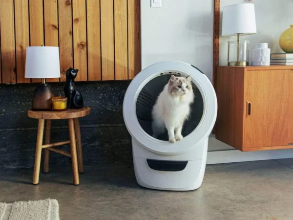 automatic litter box in real home with cat using it showing real-life results