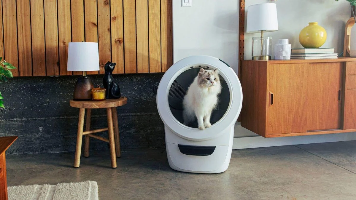 automatic litter box in real home with cat using it showing real-life results