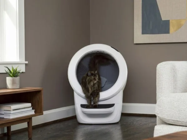 litter robot 4 automatic litter box in a modern home with a cat using it
