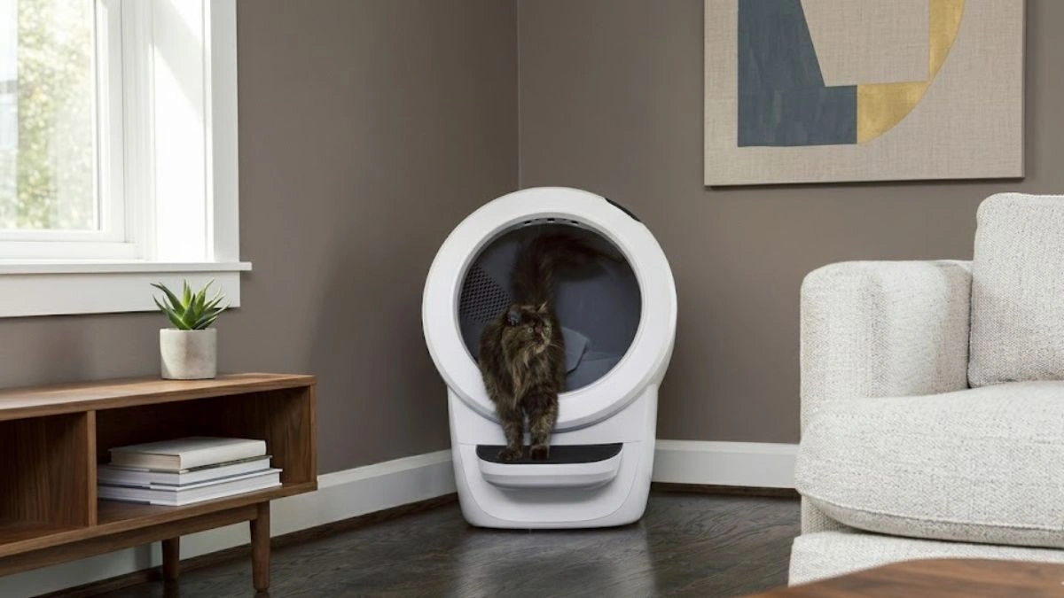 Tired of Smelly Litter Boxes? 3 Models That Actually Fix It (2026) 1 litter robot 4 automatic litter box in a modern home with a cat using it