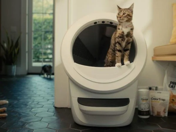 Litter-Robot 4 automatic litter box with cat in a real home environment showing odor control setup