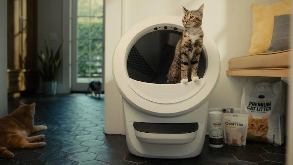 Litter-Robot 4 automatic litter box with cat in a real home environment showing odor control setup
