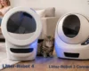 litter robot 4 vs 3 comparison in a real home with cat and owner