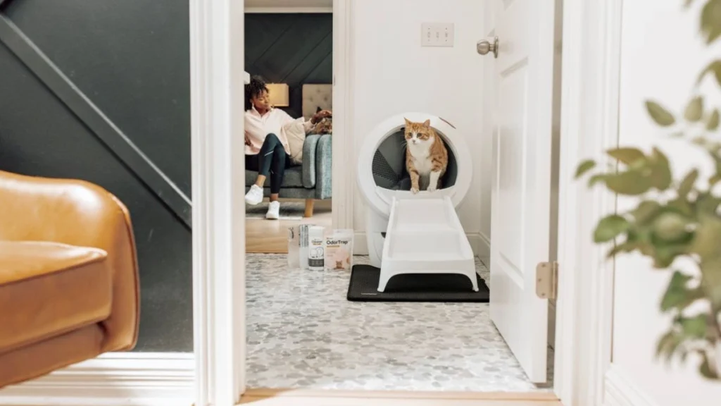 Litter-Robot automatic litter box in a real home environment with cat showing odor control setup