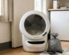 automatic litter box cleaning routine with waste bag and scoop in laundry room