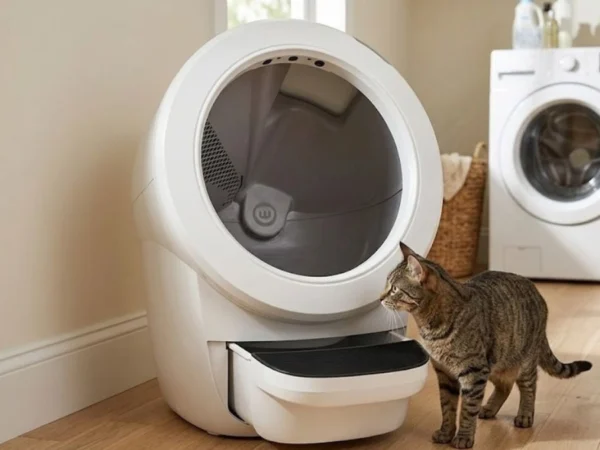 automatic litter box in a real home setting with a cat next to it
