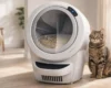 automatic litter box odor control before after.webp