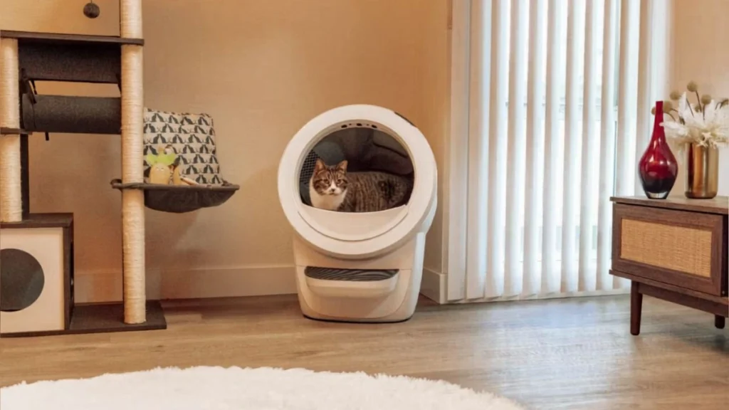 litter robot 4 automatic litter box in a clean home setup with a cat inside