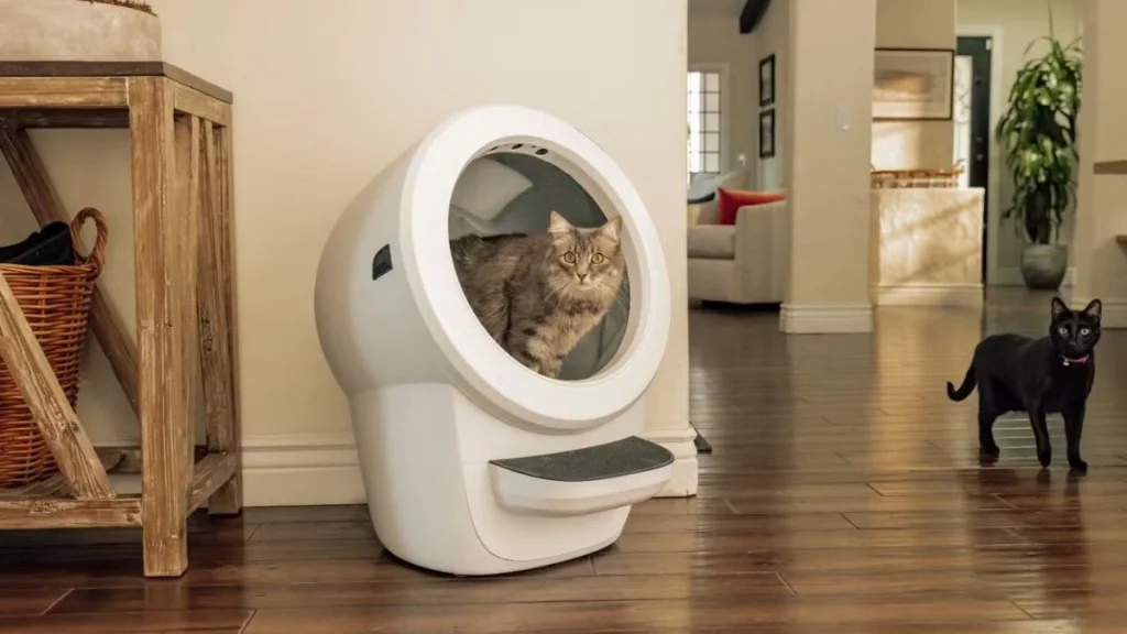 litter robot 4 automatic litter box in a real home with two cats nearby