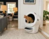 Concerned cat owner watching a cat use a Litter-Robot 4 automatic litter box in a modern home