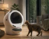Modern automatic litter box in a cozy living room with a cat approaching
