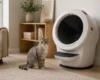 Modern automatic litter box near a wall in a cozy apartment with a calm gray tabby cat nearby