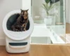 Litter-Robot 4 automatic litter box with a cat inside in a modern home environment showing premium long-term daily use.