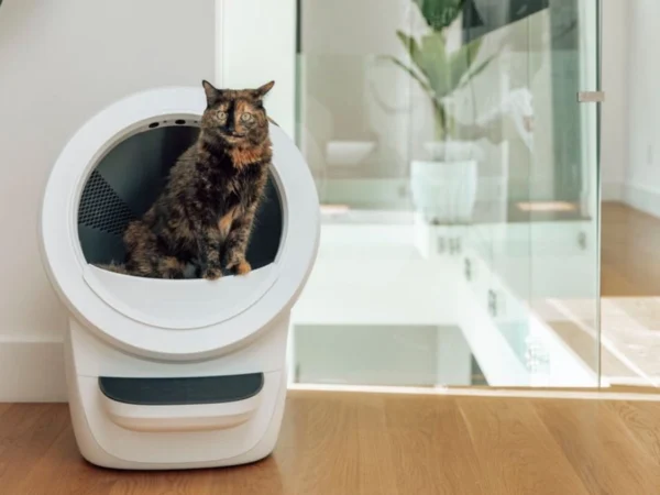 Litter-Robot 4 automatic litter box with a cat inside in a modern home environment showing premium long-term daily use.
