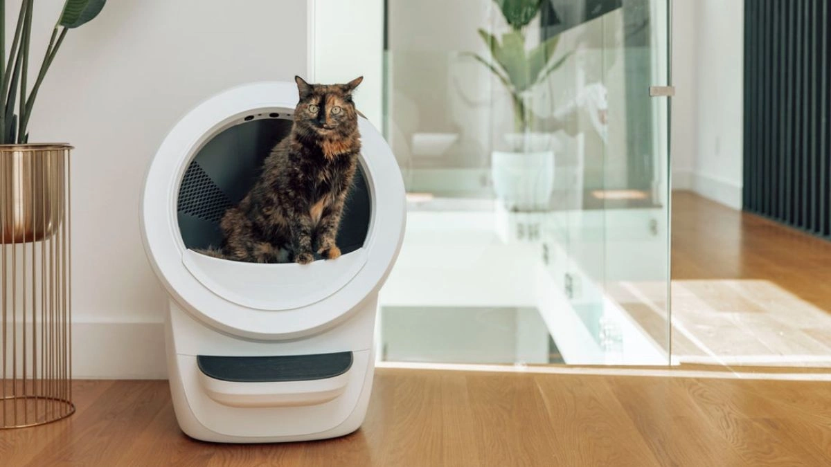 Litter-Robot 4 automatic litter box with a cat inside in a modern home environment showing premium long-term daily use.