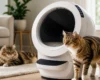 Two cats interacting with Litter-Robot 4 automatic litter box in a modern home